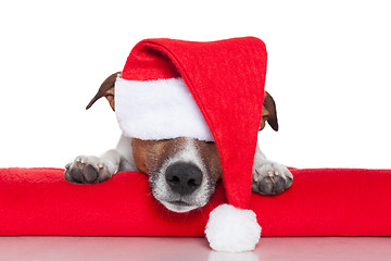 Image showing christmas dog santa baby