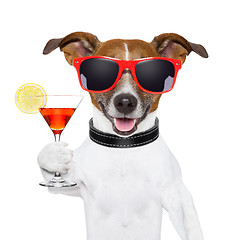 Image showing funny cocktail dog 