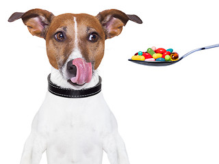 Image showing dog pills diet