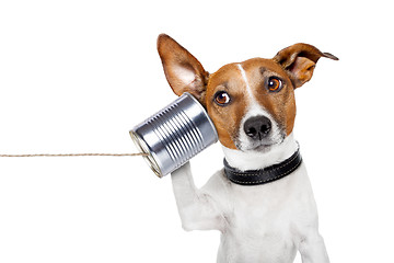 Image showing dog on the phone