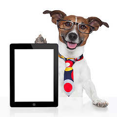 Image showing business dog tablet pc ebook