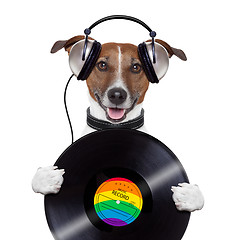 Image showing music headphone vinyl record dog