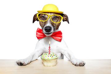 Image showing birthday dog cupcake