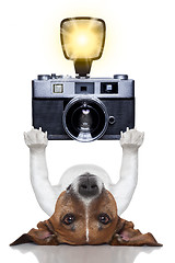 Image showing dog photographer