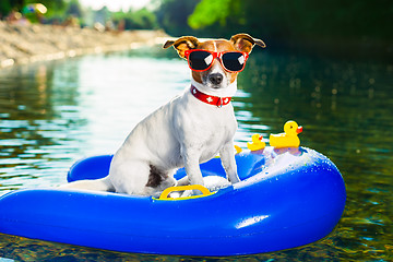 Image showing summer beach dog