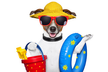 Image showing summer beach dog