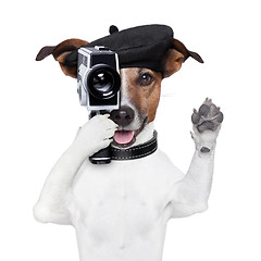 Image showing movie director dog