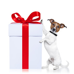 Image showing christmas dog with present