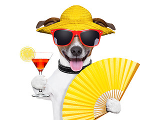 Image showing summer cocktail dog