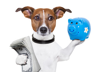 Image showing money saving dog