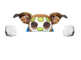 Image showing wellness dog