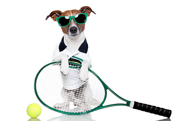 Image showing tennis dog 