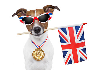 Image showing olympic dog 