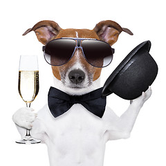 Image showing cheers dog
