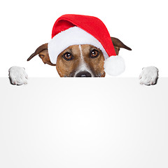 Image showing christmas banner placeholder dog