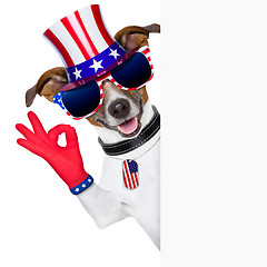 Image showing usa american dog 