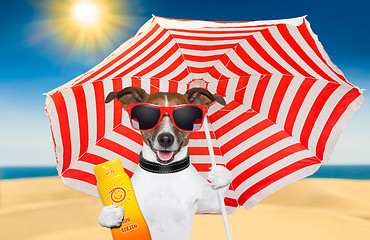 Image showing dog summer sunscreen 