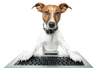 Image showing dog computer pc tablet