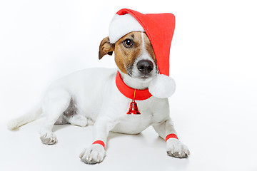 Image showing christmas dog santa