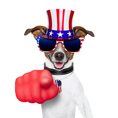 Image showing usa american dog 