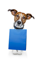 Image showing shopping bag  dog 