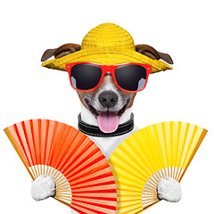 Image showing summer dog 