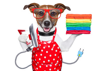 Image showing housewife dog 