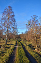 Image showing Countryside road