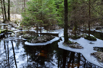 Image showing Pond reflections