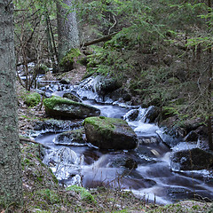 Image showing Small creek