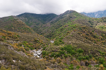 Image showing Sequoia National Park