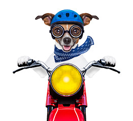 Image showing motorbike dog