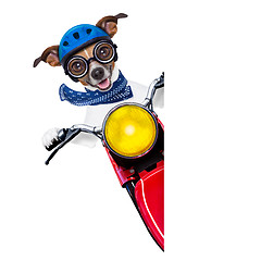 Image showing motorbike dog