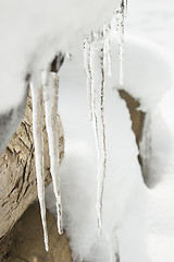 Image showing Icicles