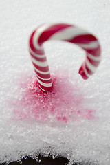 Image showing Candy Cane