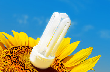 Image showing energy saving bulb in sunflower