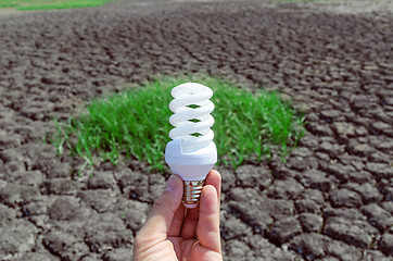 Image showing eco bulb in hand over desert and green grass