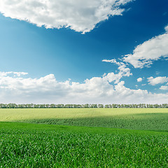 Image showing agriculture green field and clouds over it