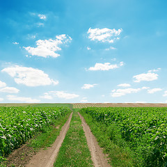 Image showing dirty road in green grass and clouds over it