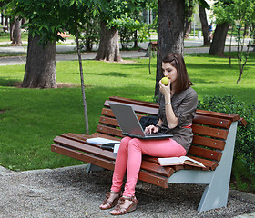 Image showing Young Woman Studying in a Park