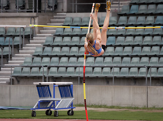 Image showing Pole Vaulter