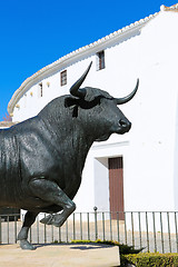 Image showing Bull statue in Ronda