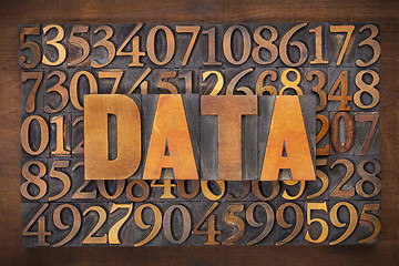 Image showing data word in wood type