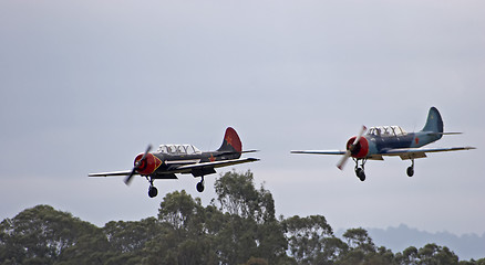 Image showing Yak-52's landing