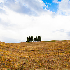 Image showing Tuscany before the storm