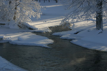 Image showing The winter river