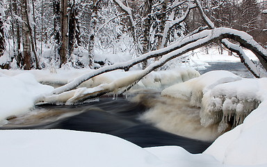 Image showing Winter river