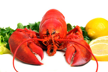 Image showing boiled lobster