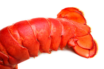 Image showing Lobster tail