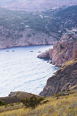 Image showing Coastline